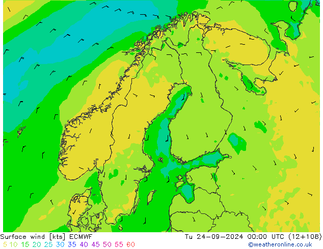 Rüzgar 10 m ECMWF Sa 24.09.2024 00 UTC