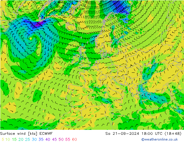 Bodenwind ECMWF Sa 21.09.2024 18 UTC