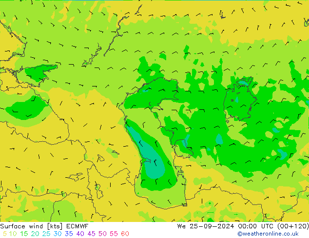 Surface wind ECMWF We 25.09.2024 00 UTC