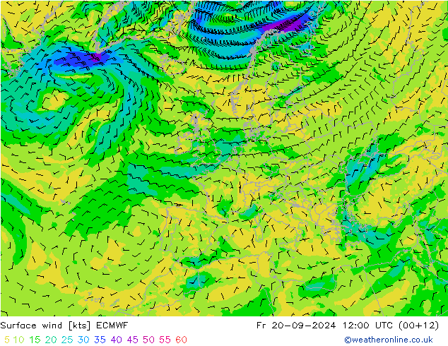 Bodenwind ECMWF Fr 20.09.2024 12 UTC