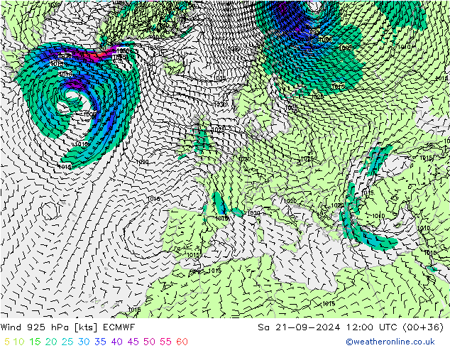 Wind 925 hPa ECMWF Sa 21.09.2024 12 UTC