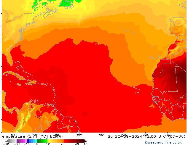  dim 22.09.2024 12 UTC