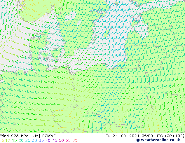 Rüzgar 925 hPa ECMWF Sa 24.09.2024 06 UTC