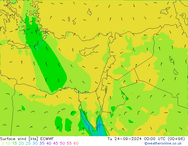 wiatr 10 m ECMWF wto. 24.09.2024 00 UTC