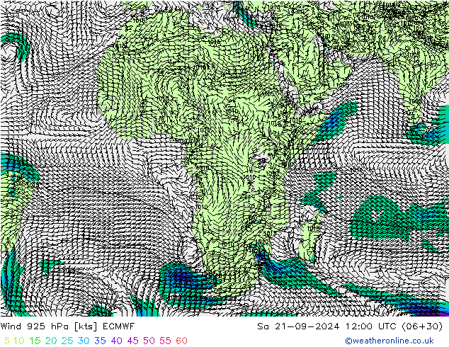 wiatr 925 hPa ECMWF so. 21.09.2024 12 UTC