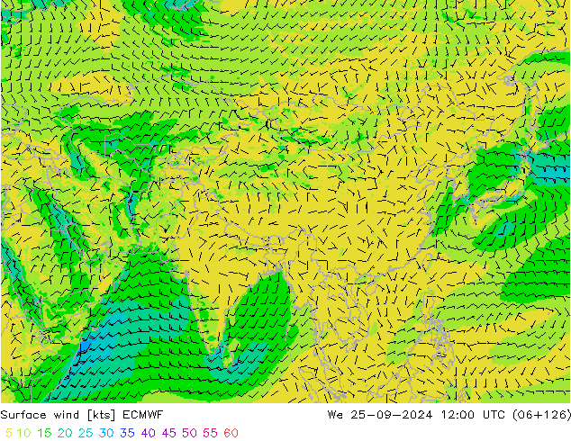 Surface wind ECMWF We 25.09.2024 12 UTC