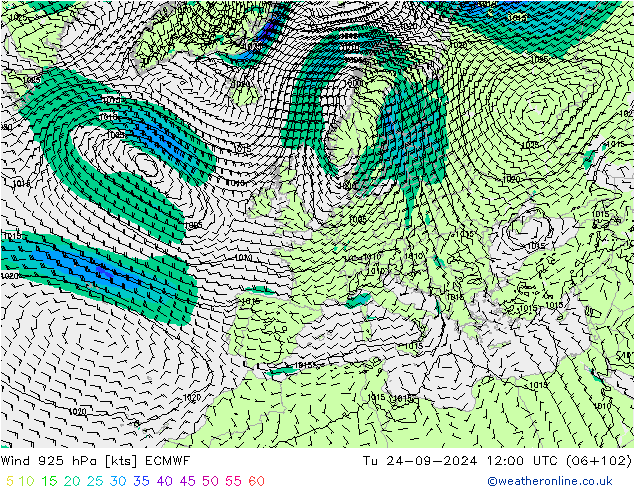 ветер 925 гПа ECMWF вт 24.09.2024 12 UTC