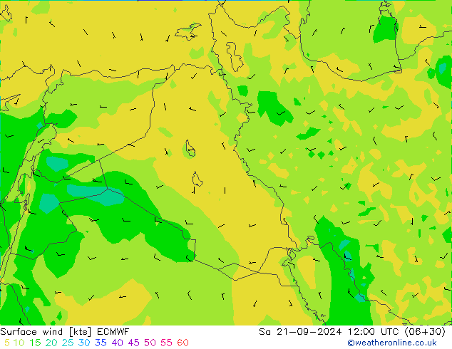 Rüzgar 10 m ECMWF Cts 21.09.2024 12 UTC