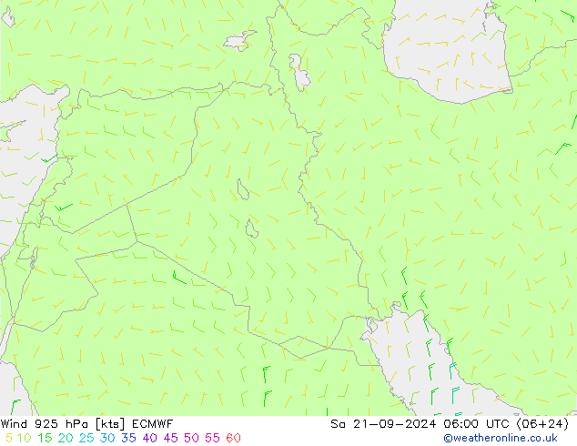 wiatr 925 hPa ECMWF so. 21.09.2024 06 UTC