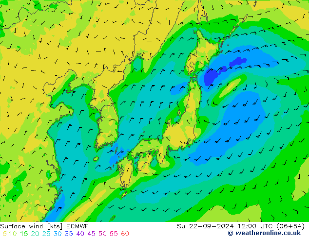 ветер 10 m ECMWF Вс 22.09.2024 12 UTC