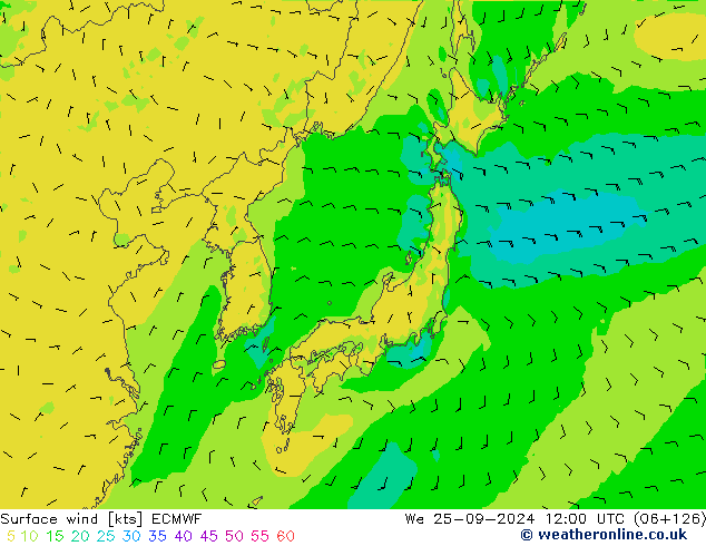 Surface wind ECMWF We 25.09.2024 12 UTC