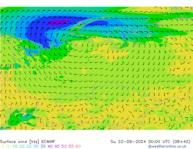 Surface wind ECMWF Su 22.09.2024 00 UTC