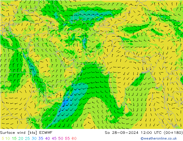 Surface wind ECMWF Sa 28.09.2024 12 UTC