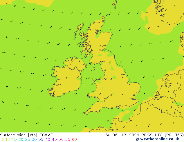 风 10 米 ECMWF 星期日 06.10.2024 00 UTC