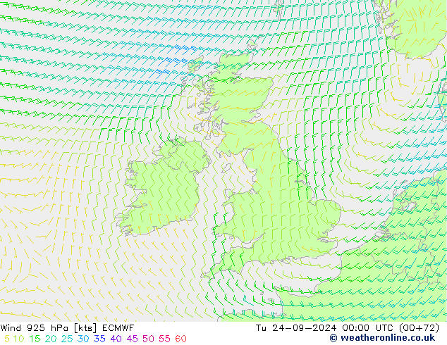 Wind 925 hPa ECMWF Tu 24.09.2024 00 UTC