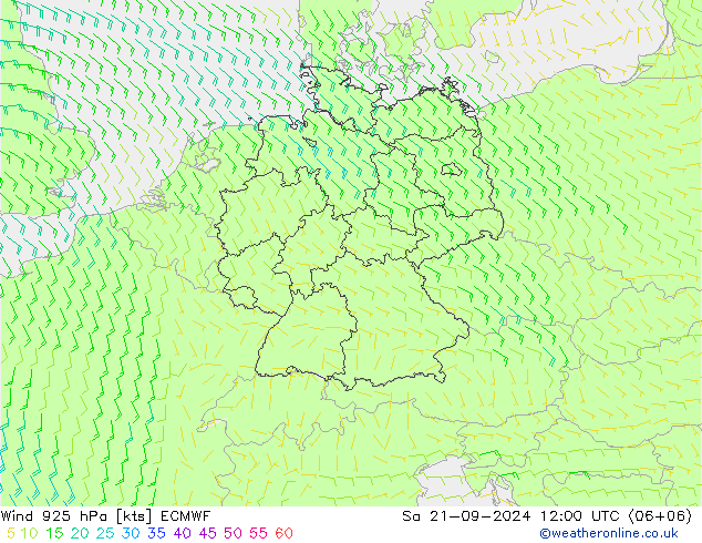 风 925 hPa ECMWF 星期六 21.09.2024 12 UTC