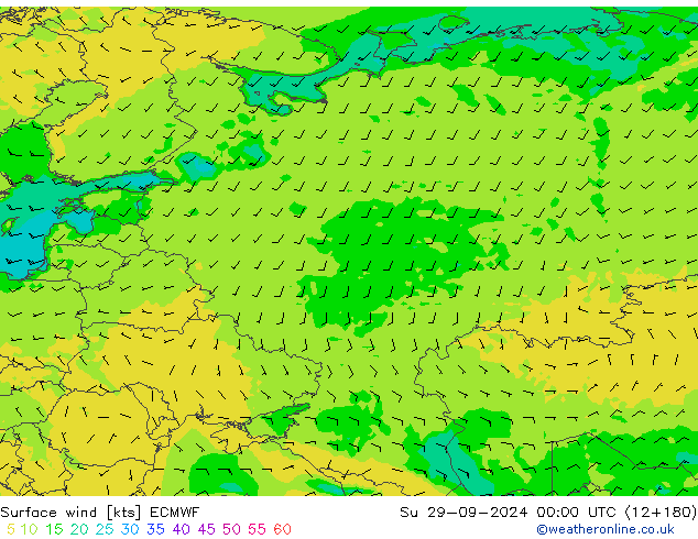 ветер 10 m ECMWF Вс 29.09.2024 00 UTC