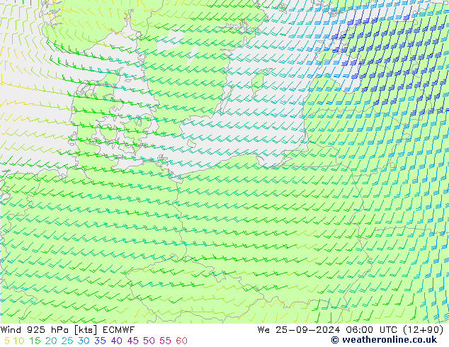 Wind 925 hPa ECMWF Mi 25.09.2024 06 UTC