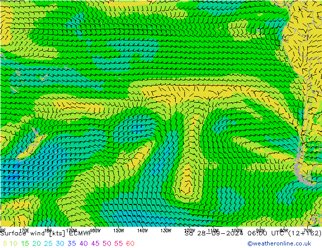 ветер 10 m ECMWF сб 28.09.2024 06 UTC