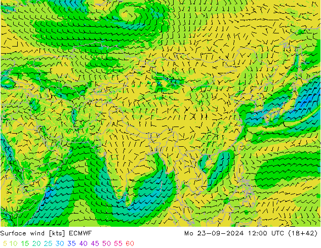 Surface wind ECMWF Mo 23.09.2024 12 UTC