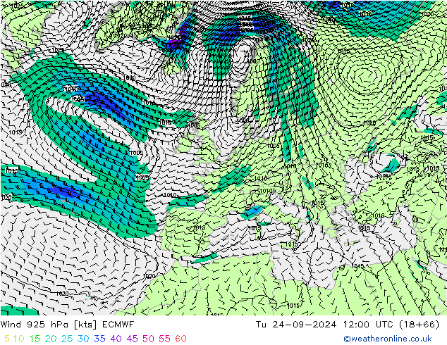 Vento 925 hPa ECMWF Ter 24.09.2024 12 UTC