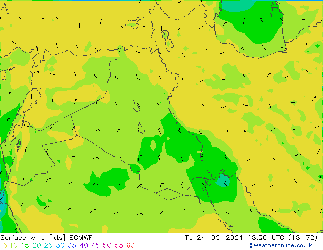 Surface wind ECMWF Tu 24.09.2024 18 UTC