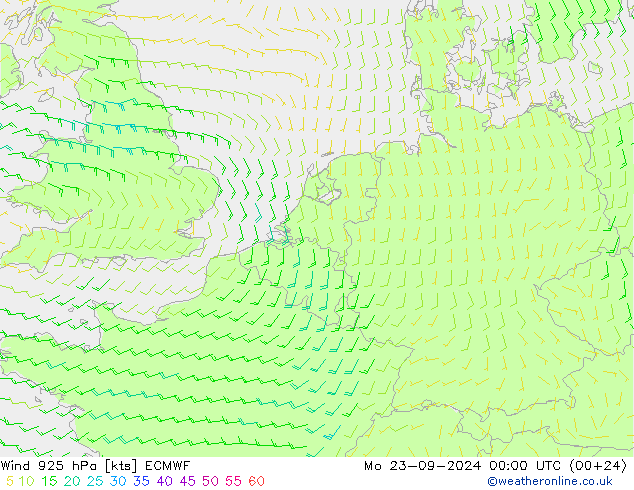 Rüzgar 925 hPa ECMWF Pzt 23.09.2024 00 UTC