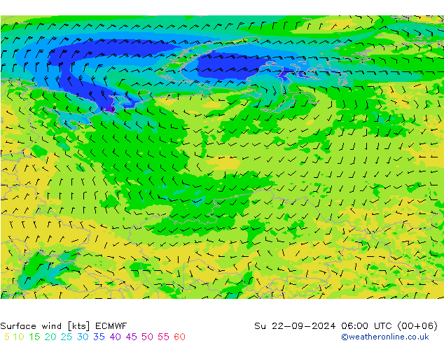 Surface wind ECMWF Ne 22.09.2024 06 UTC