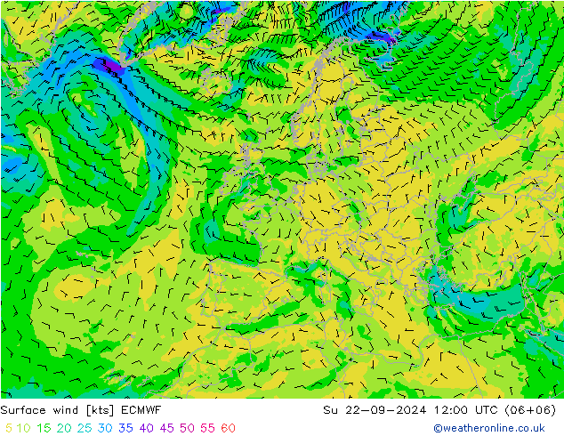 Surface wind ECMWF Ne 22.09.2024 12 UTC