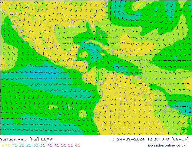 Surface wind ECMWF Tu 24.09.2024 12 UTC