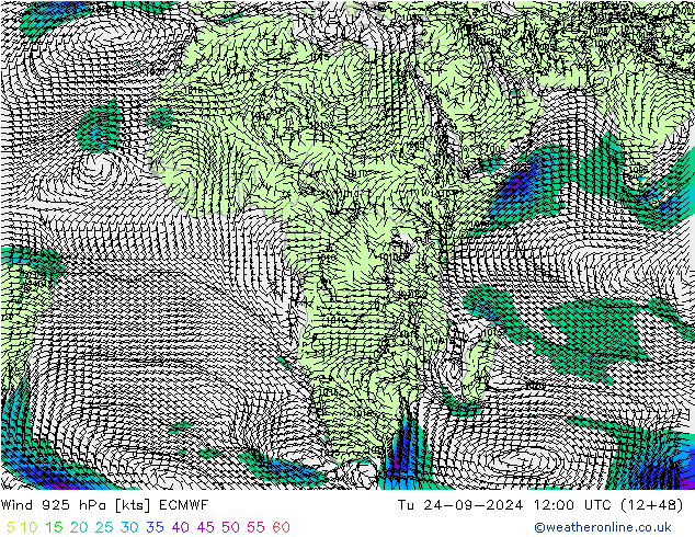  925 hPa ECMWF  24.09.2024 12 UTC