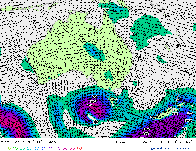 ветер 925 гПа ECMWF вт 24.09.2024 06 UTC