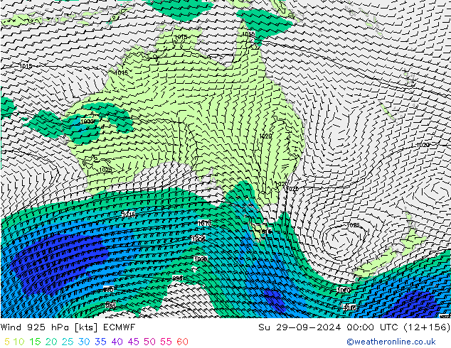 ветер 925 гПа ECMWF Вс 29.09.2024 00 UTC