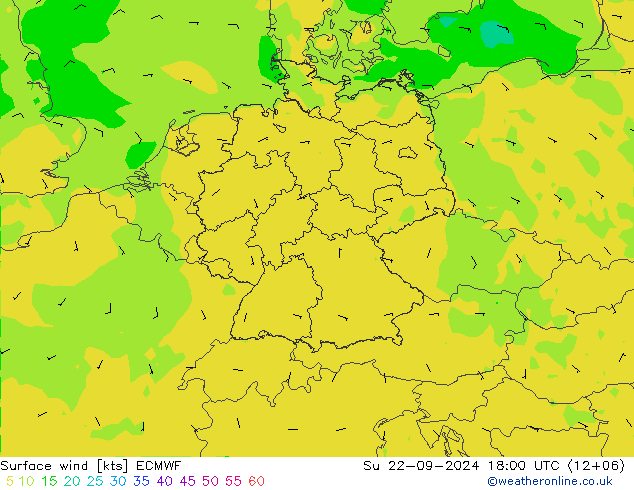 ветер 10 m ECMWF Вс 22.09.2024 18 UTC