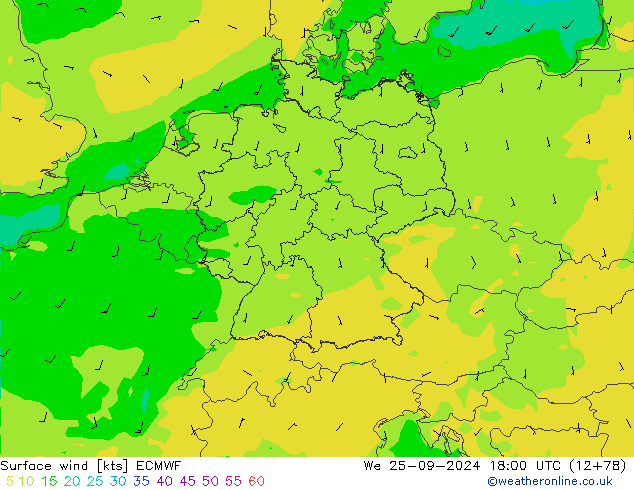 ветер 10 m ECMWF ср 25.09.2024 18 UTC