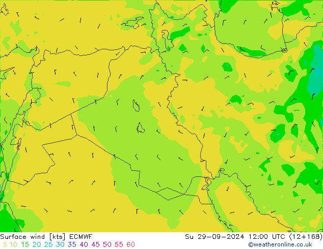 Surface wind ECMWF Su 29.09.2024 12 UTC