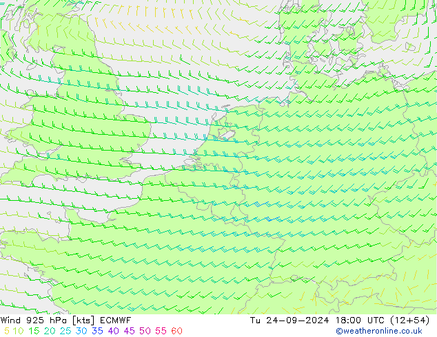 Wind 925 hPa ECMWF Di 24.09.2024 18 UTC