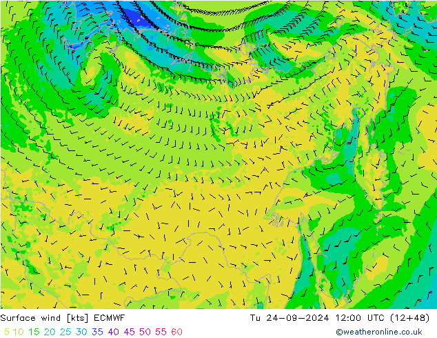 ветер 10 m ECMWF вт 24.09.2024 12 UTC