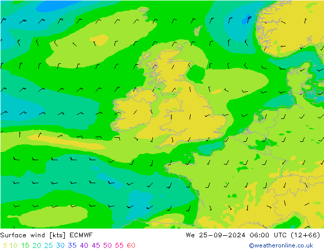 Surface wind ECMWF We 25.09.2024 06 UTC