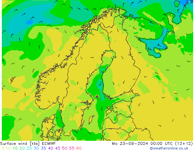 Bodenwind ECMWF Mo 23.09.2024 00 UTC