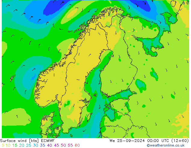  10 m ECMWF  25.09.2024 00 UTC