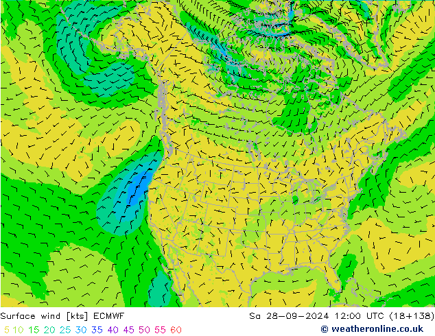 Surface wind ECMWF Sa 28.09.2024 12 UTC