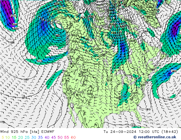 Wind 925 hPa ECMWF di 24.09.2024 12 UTC