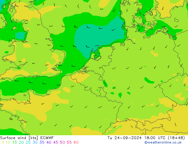 Surface wind ECMWF Tu 24.09.2024 18 UTC