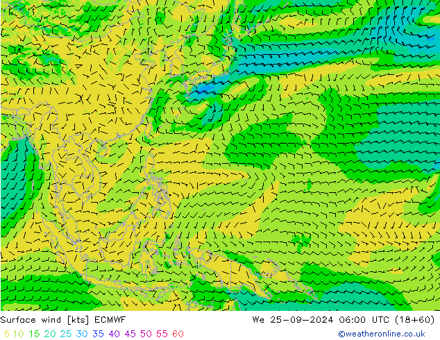 Wind 10 m ECMWF wo 25.09.2024 06 UTC