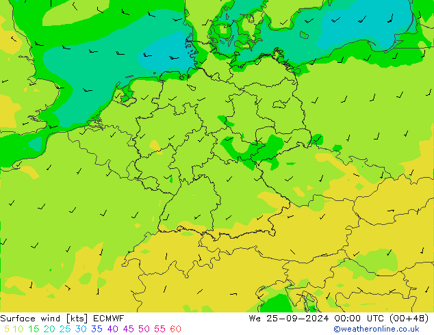 Surface wind ECMWF We 25.09.2024 00 UTC