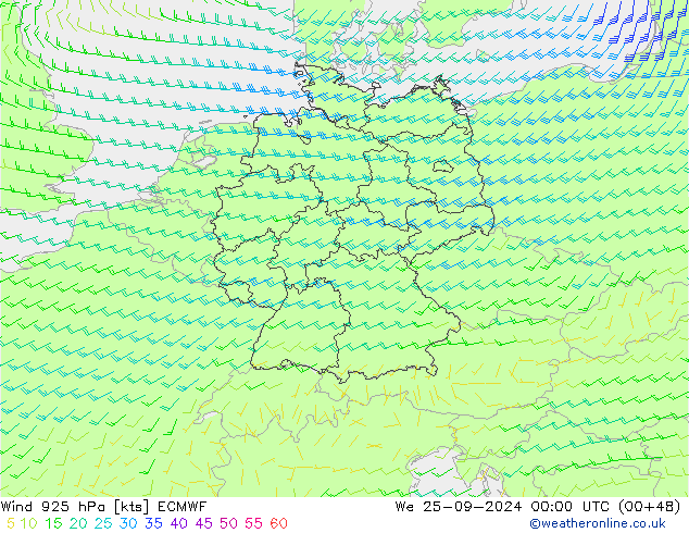 ветер 925 гПа ECMWF ср 25.09.2024 00 UTC