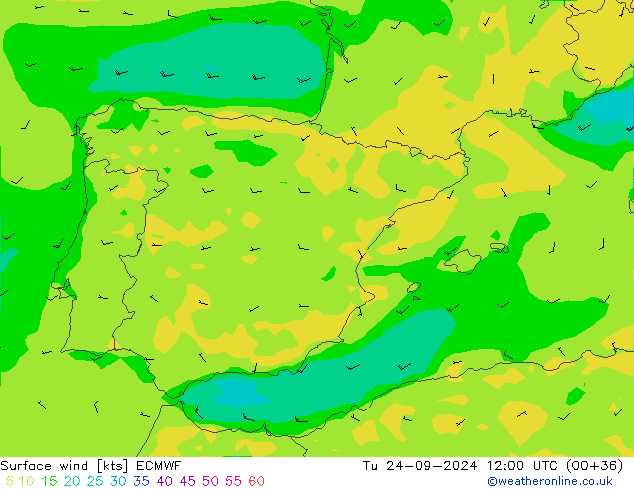 wiatr 10 m ECMWF wto. 24.09.2024 12 UTC