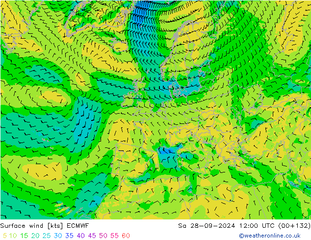 Surface wind ECMWF So 28.09.2024 12 UTC