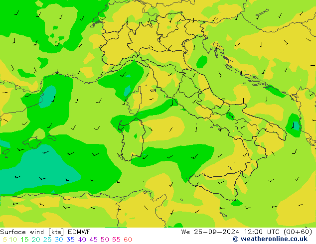 Surface wind ECMWF St 25.09.2024 12 UTC